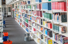 Regalwand mit Büchern in der Bibliothek